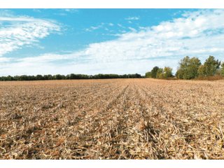 Tract 2 - White County, Indiana farmland - LAND AUCTION - 163.85+/- ACRES OFFERED IN 2 TRACTS IN WHITE COUNTY, INDIANA
