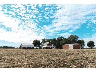 Tract 2 - White County, Indiana farmland - LAND AUCTION - 163.85+/- ACRES OFFERED IN 2 TRACTS IN WHITE COUNTY, INDIANA