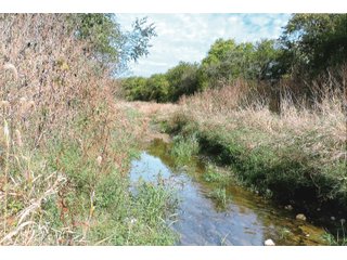 Tract 2 - White County, Indiana farmland - LAND AUCTION - 163.85+/- ACRES OFFERED IN 2 TRACTS IN WHITE COUNTY, INDIANA