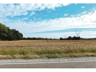 Tract 2 - White County, Indiana farmland - LAND AUCTION - 163.85+/- ACRES OFFERED IN 2 TRACTS IN WHITE COUNTY, INDIANA