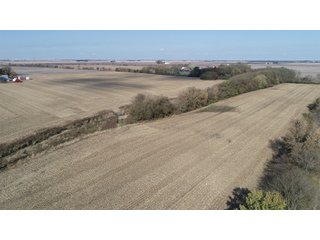 White County, Indiana farmland - LAND AUCTION - 163.85+/- ACRES OFFERED IN 2 TRACTS IN WHITE COUNTY, INDIANA