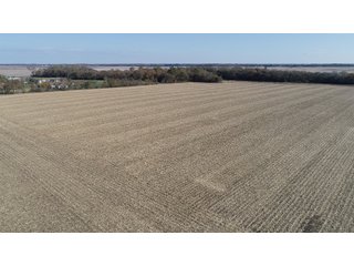 White County, Indiana farmland - LAND AUCTION - 163.85+/- ACRES OFFERED IN 2 TRACTS IN WHITE COUNTY, INDIANA