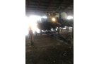 Property photo 95 - FARM EQUIPMENT AUCTION IN SHIAWASSEE COUNTY, MICHIGAN