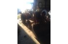 Property photo 257 - FARM EQUIPMENT AUCTION IN SHIAWASSEE COUNTY, MICHIGAN