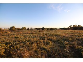 Garfield, County, Oklahoma farmland - LAND AUCTION - 160+/- ACRES OFFERED IN 2 TRACTS IN GARFIELD COUNTY, OKLAHOMA