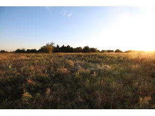 Garfield, County, Oklahoma farmland - LAND AUCTION - 160+/- ACRES OFFERED IN 2 TRACTS IN GARFIELD COUNTY, OKLAHOMA