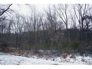 Property photo 26 - REAL ESTATE AUCTION - 171.1+/- ACRES OFFERED IN 3 TRACTS OR COMBINATIONS IN HUNTINGTON COUNTY, INDIANA