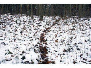 Property photo 12 - REAL ESTATE AUCTION - 171.1+/- ACRES OFFERED IN 3 TRACTS OR COMBINATIONS IN HUNTINGTON COUNTY, INDIANA