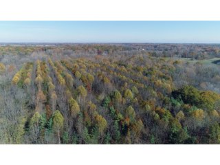 Property photo 4 - REAL ESTATE AUCTION - 171.1+/- ACRES OFFERED IN 3 TRACTS OR COMBINATIONS IN HUNTINGTON COUNTY, INDIANA