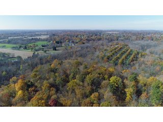 Property photo 2 - REAL ESTATE AUCTION - 171.1+/- ACRES OFFERED IN 3 TRACTS OR COMBINATIONS IN HUNTINGTON COUNTY, INDIANA