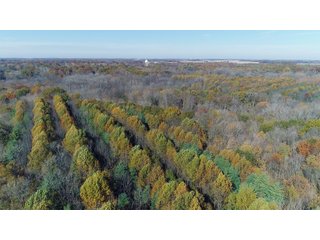 Property photo 7 - REAL ESTATE AUCTION - 171.1+/- ACRES OFFERED IN 3 TRACTS OR COMBINATIONS IN HUNTINGTON COUNTY, INDIANA