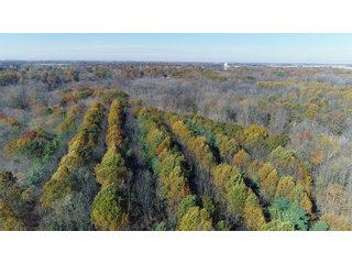 Property photo 6 - REAL ESTATE AUCTION - 171.1+/- ACRES OFFERED IN 3 TRACTS OR COMBINATIONS IN HUNTINGTON COUNTY, INDIANA