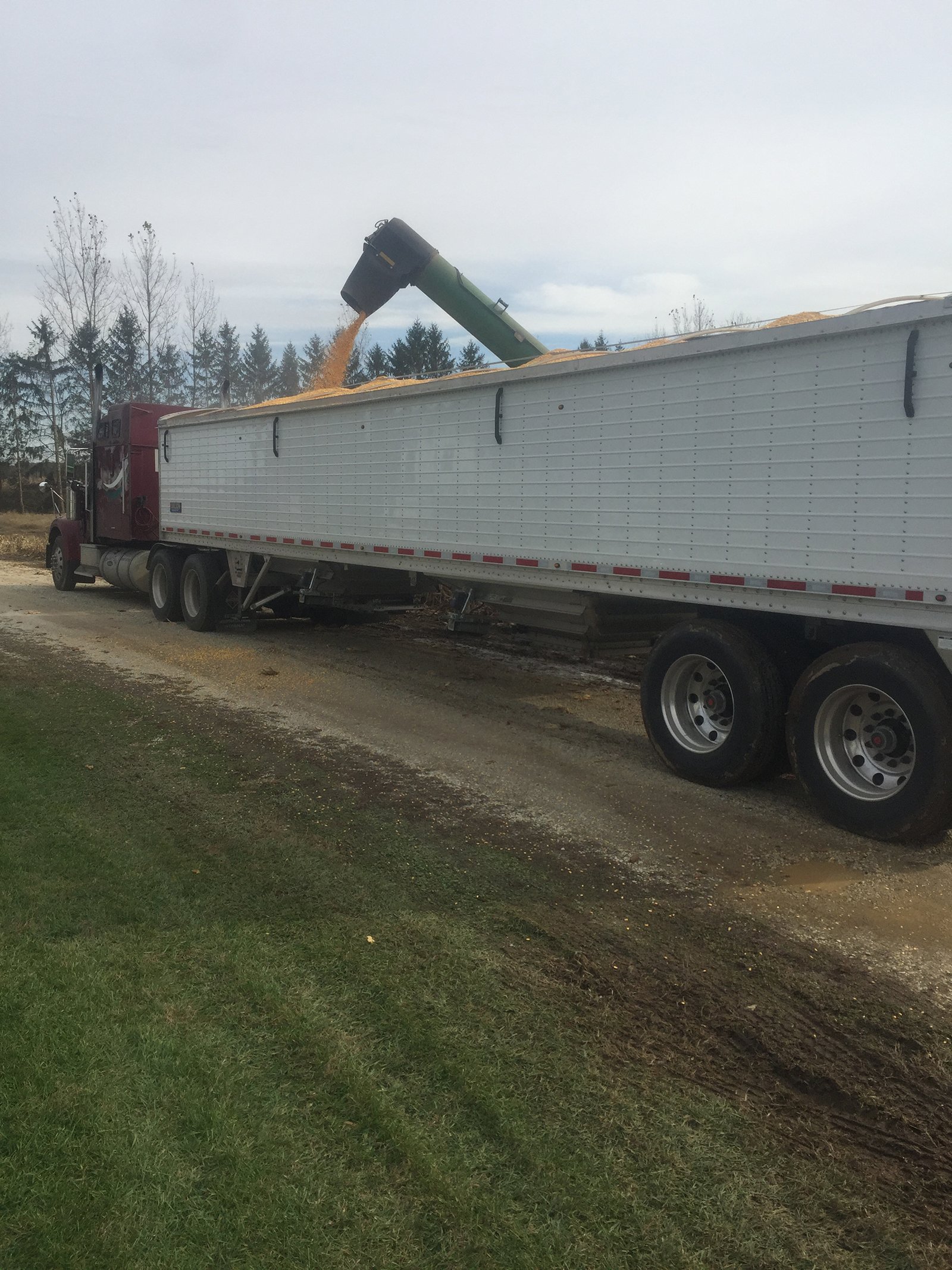 Property photo 50 - FARM EQUIPMENT AUCTION IN ST. JOSEPH COUNTY, MICHIGAN