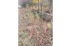 Property photo 49 - FARM EQUIPMENT AUCTION IN ST. JOSEPH COUNTY, MICHIGAN