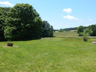 25.27+/- Acres with 19+/- tillable and 6+/- woods.  Beautiful trails through the woods.  Excellent building site.  Room for hobbies, recreation or hunting. - Tillable/Wooded Land