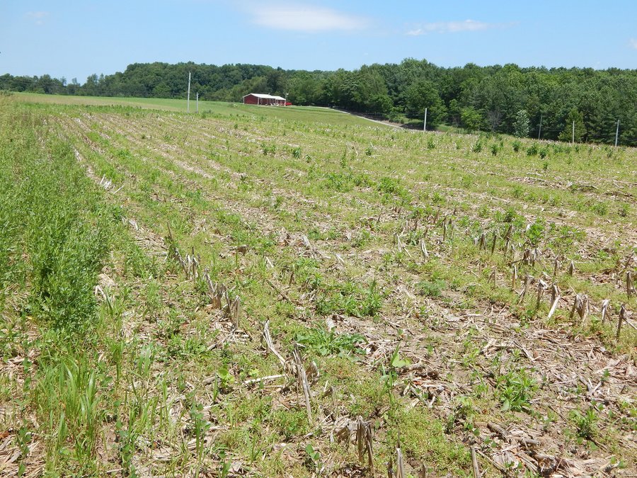 For sale: Tillable/Wooded Land - Columbia City, IN