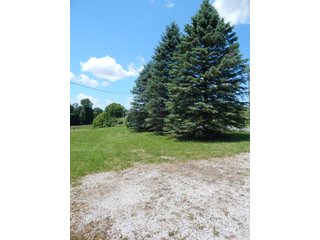25.27+/- Acres with 19+/- tillable and 6+/- woods.  Beautiful trails through the woods.  Excellent building site.  Room for hobbies, recreation or hunting. - Tillable/Wooded Land