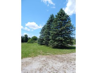 25.27+/- Acres with 19+/- tillable and 6+/- woods.  Beautiful trails through the woods.  Excellent building site.  Room for hobbies, recreation or hunting. - Tillable/Wooded Land