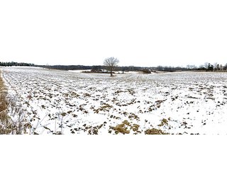 Property photo 1 - LAND FOR SALE - 45 ACRES - NOBLE COUNTY, IN - YORK TOWNSHIP