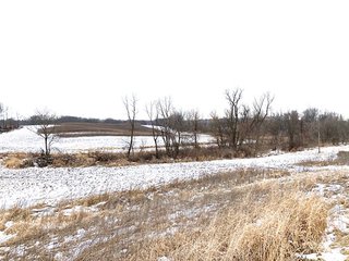 45 acres with 25 acres tillable. This property features a number of Oak and  Maple trees and also very tall grass in swampy areas, which makes for good hunting. There are locations that would be good for building a new home and buildings as well. Don't miss this scenic property! - LAND FOR SALE - 45 ACRES - NOBLE COUNTY, IN - YORK TOWNSHIP