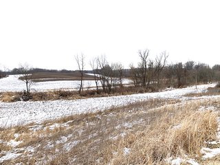 45 acres with 25 acres tillable. This property features a number of Oak and  Maple trees and also very tall grass in swampy areas, which makes for good hunting. There are locations that would be good for building a new home and buildings as well. Don't miss this scenic property! - LAND FOR SALE - 45 ACRES - NOBLE COUNTY, IN - YORK TOWNSHIP