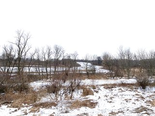 45 acres with 25 acres tillable. This property features a number of Oak and  Maple trees and also very tall grass in swampy areas, which makes for good hunting. There are locations that would be good for building a new home and buildings as well. Don't miss this scenic property! - LAND FOR SALE - 45 ACRES - NOBLE COUNTY, IN - YORK TOWNSHIP