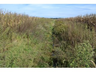 <b>This property has a lot to offer with productive cropland, woods with many mature oak trees and some pines along with cleared trails. </b>  There is lots of deer activity and the property is located across the road from Willow Slough. Also consider the potential for a beautiful, secluded home site.

<b>-2018 Real Estate Taxes Payable 2019:  $2,050.00 
-Drainage Assessments: Salisbury Open $213.24 - Beaver Creek $98.00 
-Zoning: Ag - Agriculture 
-School District: North Newton School Corporation
-Elec. Source: Newton County REMC
-Owners: Joseph E. Warrick, Judy A. Rabideau & Joan M. Raff</b>

<i><b>FSA Data:
Farm #2379: Tract #10547
Farmland: 97.24 acres
Cropland: 83.01 acres
Corn Base Acr.: 80.3  
PLC Yield: 122 </b></i>  - CROPLAND, HUNTING/RECREATIONAL & POTENTIAL BUILDING SITE IN NEWTON COUNTY, INDIANA