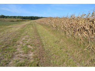 <b>This property has a lot to offer with productive cropland, woods with many mature oak trees and some pines along with cleared trails. </b>  There is lots of deer activity and the property is located across the road from Willow Slough. Also consider the potential for a beautiful, secluded home site.

<b>-2018 Real Estate Taxes Payable 2019:  $2,050.00 
-Drainage Assessments: Salisbury Open $213.24 - Beaver Creek $98.00 
-Zoning: Ag - Agriculture 
-School District: North Newton School Corporation
-Elec. Source: Newton County REMC
-Owners: Joseph E. Warrick, Judy A. Rabideau & Joan M. Raff</b>

<i><b>FSA Data:
Farm #2379: Tract #10547
Farmland: 97.24 acres
Cropland: 83.01 acres
Corn Base Acr.: 80.3  
PLC Yield: 122 </b></i>  - CROPLAND, HUNTING/RECREATIONAL & POTENTIAL BUILDING SITE IN NEWTON COUNTY, INDIANA