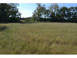 <b>This property has a lot to offer with productive cropland, woods with many mature oak trees and some pines along with cleared trails. </b>  There is lots of deer activity and the property is located across the road from Willow Slough. Also consider the potential for a beautiful, secluded home site.

<b>-2018 Real Estate Taxes Payable 2019:  $2,050.00 
-Drainage Assessments: Salisbury Open $213.24 - Beaver Creek $98.00 
-Zoning: Ag - Agriculture 
-School District: North Newton School Corporation
-Elec. Source: Newton County REMC
-Owners: Joseph E. Warrick, Judy A. Rabideau & Joan M. Raff</b>

<i><b>FSA Data:
Farm #2379: Tract #10547
Farmland: 97.24 acres
Cropland: 83.01 acres
Corn Base Acr.: 80.3  
PLC Yield: 122 </b></i>  - CROPLAND, HUNTING/RECREATIONAL & POTENTIAL BUILDING SITE IN NEWTON COUNTY, INDIANA