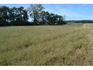 <b>This property has a lot to offer with productive cropland, woods with many mature oak trees and some pines along with cleared trails. </b>  There is lots of deer activity and the property is located across the road from Willow Slough. Also consider the potential for a beautiful, secluded home site.

<b>-2018 Real Estate Taxes Payable 2019:  $2,050.00 
-Drainage Assessments: Salisbury Open $213.24 - Beaver Creek $98.00 
-Zoning: Ag - Agriculture 
-School District: North Newton School Corporation
-Elec. Source: Newton County REMC
-Owners: Joseph E. Warrick, Judy A. Rabideau & Joan M. Raff</b>

<i><b>FSA Data:
Farm #2379: Tract #10547
Farmland: 97.24 acres
Cropland: 83.01 acres
Corn Base Acr.: 80.3  
PLC Yield: 122 </b></i>  - CROPLAND, HUNTING/RECREATIONAL & POTENTIAL BUILDING SITE IN NEWTON COUNTY, INDIANA
