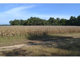 <b>This property has a lot to offer with productive cropland, woods with many mature oak trees and some pines along with cleared trails. </b>  There is lots of deer activity and the property is located across the road from Willow Slough. Also consider the potential for a beautiful, secluded home site.

<b>-2018 Real Estate Taxes Payable 2019:  $2,050.00 
-Drainage Assessments: Salisbury Open $213.24 - Beaver Creek $98.00 
-Zoning: Ag - Agriculture 
-School District: North Newton School Corporation
-Elec. Source: Newton County REMC
-Owners: Joseph E. Warrick, Judy A. Rabideau & Joan M. Raff</b>

<i><b>FSA Data:
Farm #2379: Tract #10547
Farmland: 97.24 acres
Cropland: 83.01 acres
Corn Base Acr.: 80.3  
PLC Yield: 122 </b></i>  - CROPLAND, HUNTING/RECREATIONAL & POTENTIAL BUILDING SITE IN NEWTON COUNTY, INDIANA