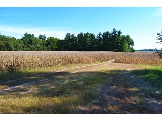 <b>This property has a lot to offer with productive cropland, woods with many mature oak trees and some pines along with cleared trails. </b>  There is lots of deer activity and the property is located across the road from Willow Slough. Also consider the potential for a beautiful, secluded home site.

<b>-2018 Real Estate Taxes Payable 2019:  $2,050.00 
-Drainage Assessments: Salisbury Open $213.24 - Beaver Creek $98.00 
-Zoning: Ag - Agriculture 
-School District: North Newton School Corporation
-Elec. Source: Newton County REMC
-Owners: Joseph E. Warrick, Judy A. Rabideau & Joan M. Raff</b>

<i><b>FSA Data:
Farm #2379: Tract #10547
Farmland: 97.24 acres
Cropland: 83.01 acres
Corn Base Acr.: 80.3  
PLC Yield: 122 </b></i>  - CROPLAND, HUNTING/RECREATIONAL & POTENTIAL BUILDING SITE IN NEWTON COUNTY, INDIANA