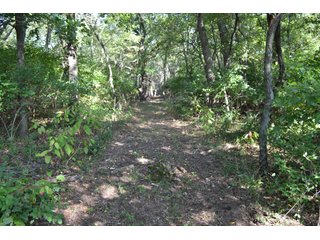 <b>This property has a lot to offer with productive cropland, woods with many mature oak trees and some pines along with cleared trails. </b>  There is lots of deer activity and the property is located across the road from Willow Slough. Also consider the potential for a beautiful, secluded home site.

<b>-2018 Real Estate Taxes Payable 2019:  $2,050.00 
-Drainage Assessments: Salisbury Open $213.24 - Beaver Creek $98.00 
-Zoning: Ag - Agriculture 
-School District: North Newton School Corporation
-Elec. Source: Newton County REMC
-Owners: Joseph E. Warrick, Judy A. Rabideau & Joan M. Raff</b>

<i><b>FSA Data:
Farm #2379: Tract #10547
Farmland: 97.24 acres
Cropland: 83.01 acres
Corn Base Acr.: 80.3  
PLC Yield: 122 </b></i>  - CROPLAND, HUNTING/RECREATIONAL & POTENTIAL BUILDING SITE IN NEWTON COUNTY, INDIANA