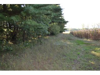 <b>This property has a lot to offer with productive cropland, woods with many mature oak trees and some pines along with cleared trails. </b>  There is lots of deer activity and the property is located across the road from Willow Slough. Also consider the potential for a beautiful, secluded home site.

<b>-2018 Real Estate Taxes Payable 2019:  $2,050.00 
-Drainage Assessments: Salisbury Open $213.24 - Beaver Creek $98.00 
-Zoning: Ag - Agriculture 
-School District: North Newton School Corporation
-Elec. Source: Newton County REMC
-Owners: Joseph E. Warrick, Judy A. Rabideau & Joan M. Raff</b>

<i><b>FSA Data:
Farm #2379: Tract #10547
Farmland: 97.24 acres
Cropland: 83.01 acres
Corn Base Acr.: 80.3  
PLC Yield: 122 </b></i>  - CROPLAND, HUNTING/RECREATIONAL & POTENTIAL BUILDING SITE IN NEWTON COUNTY, INDIANA