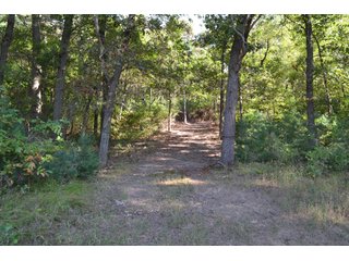 <b>This property has a lot to offer with productive cropland, woods with many mature oak trees and some pines along with cleared trails. </b>  There is lots of deer activity and the property is located across the road from Willow Slough. Also consider the potential for a beautiful, secluded home site.

<b>-2018 Real Estate Taxes Payable 2019:  $2,050.00 
-Drainage Assessments: Salisbury Open $213.24 - Beaver Creek $98.00 
-Zoning: Ag - Agriculture 
-School District: North Newton School Corporation
-Elec. Source: Newton County REMC
-Owners: Joseph E. Warrick, Judy A. Rabideau & Joan M. Raff</b>

<i><b>FSA Data:
Farm #2379: Tract #10547
Farmland: 97.24 acres
Cropland: 83.01 acres
Corn Base Acr.: 80.3  
PLC Yield: 122 </b></i>  - CROPLAND, HUNTING/RECREATIONAL & POTENTIAL BUILDING SITE IN NEWTON COUNTY, INDIANA