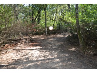 <b>This property has a lot to offer with productive cropland, woods with many mature oak trees and some pines along with cleared trails. </b>  There is lots of deer activity and the property is located across the road from Willow Slough. Also consider the potential for a beautiful, secluded home site.

<b>-2018 Real Estate Taxes Payable 2019:  $2,050.00 
-Drainage Assessments: Salisbury Open $213.24 - Beaver Creek $98.00 
-Zoning: Ag - Agriculture 
-School District: North Newton School Corporation
-Elec. Source: Newton County REMC
-Owners: Joseph E. Warrick, Judy A. Rabideau & Joan M. Raff</b>

<i><b>FSA Data:
Farm #2379: Tract #10547
Farmland: 97.24 acres
Cropland: 83.01 acres
Corn Base Acr.: 80.3  
PLC Yield: 122 </b></i>  - CROPLAND, HUNTING/RECREATIONAL & POTENTIAL BUILDING SITE IN NEWTON COUNTY, INDIANA