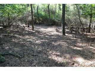 <b>This property has a lot to offer with productive cropland, woods with many mature oak trees and some pines along with cleared trails. </b>  There is lots of deer activity and the property is located across the road from Willow Slough. Also consider the potential for a beautiful, secluded home site.

<b>-2018 Real Estate Taxes Payable 2019:  $2,050.00 
-Drainage Assessments: Salisbury Open $213.24 - Beaver Creek $98.00 
-Zoning: Ag - Agriculture 
-School District: North Newton School Corporation
-Elec. Source: Newton County REMC
-Owners: Joseph E. Warrick, Judy A. Rabideau & Joan M. Raff</b>

<i><b>FSA Data:
Farm #2379: Tract #10547
Farmland: 97.24 acres
Cropland: 83.01 acres
Corn Base Acr.: 80.3  
PLC Yield: 122 </b></i>  - CROPLAND, HUNTING/RECREATIONAL & POTENTIAL BUILDING SITE IN NEWTON COUNTY, INDIANA