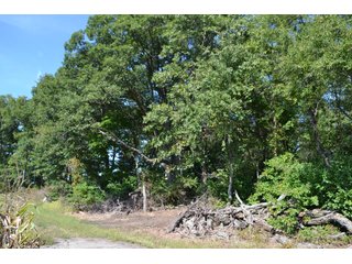 <b>This property has a lot to offer with productive cropland, woods with many mature oak trees and some pines along with cleared trails. </b>  There is lots of deer activity and the property is located across the road from Willow Slough. Also consider the potential for a beautiful, secluded home site.

<b>-2018 Real Estate Taxes Payable 2019:  $2,050.00 
-Drainage Assessments: Salisbury Open $213.24 - Beaver Creek $98.00 
-Zoning: Ag - Agriculture 
-School District: North Newton School Corporation
-Elec. Source: Newton County REMC
-Owners: Joseph E. Warrick, Judy A. Rabideau & Joan M. Raff</b>

<i><b>FSA Data:
Farm #2379: Tract #10547
Farmland: 97.24 acres
Cropland: 83.01 acres
Corn Base Acr.: 80.3  
PLC Yield: 122 </b></i>  - CROPLAND, HUNTING/RECREATIONAL & POTENTIAL BUILDING SITE IN NEWTON COUNTY, INDIANA