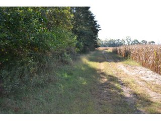 <b>This property has a lot to offer with productive cropland, woods with many mature oak trees and some pines along with cleared trails. </b>  There is lots of deer activity and the property is located across the road from Willow Slough. Also consider the potential for a beautiful, secluded home site.

<b>-2018 Real Estate Taxes Payable 2019:  $2,050.00 
-Drainage Assessments: Salisbury Open $213.24 - Beaver Creek $98.00 
-Zoning: Ag - Agriculture 
-School District: North Newton School Corporation
-Elec. Source: Newton County REMC
-Owners: Joseph E. Warrick, Judy A. Rabideau & Joan M. Raff</b>

<i><b>FSA Data:
Farm #2379: Tract #10547
Farmland: 97.24 acres
Cropland: 83.01 acres
Corn Base Acr.: 80.3  
PLC Yield: 122 </b></i>  - CROPLAND, HUNTING/RECREATIONAL & POTENTIAL BUILDING SITE IN NEWTON COUNTY, INDIANA