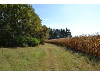 <b>This property has a lot to offer with productive cropland, woods with many mature oak trees and some pines along with cleared trails. </b>  There is lots of deer activity and the property is located across the road from Willow Slough. Also consider the potential for a beautiful, secluded home site.

<b>-2018 Real Estate Taxes Payable 2019:  $2,050.00 
-Drainage Assessments: Salisbury Open $213.24 - Beaver Creek $98.00 
-Zoning: Ag - Agriculture 
-School District: North Newton School Corporation
-Elec. Source: Newton County REMC
-Owners: Joseph E. Warrick, Judy A. Rabideau & Joan M. Raff</b>

<i><b>FSA Data:
Farm #2379: Tract #10547
Farmland: 97.24 acres
Cropland: 83.01 acres
Corn Base Acr.: 80.3  
PLC Yield: 122 </b></i>  - CROPLAND, HUNTING/RECREATIONAL & POTENTIAL BUILDING SITE IN NEWTON COUNTY, INDIANA