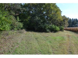 <b>This property has a lot to offer with productive cropland, woods with many mature oak trees and some pines along with cleared trails. </b>  There is lots of deer activity and the property is located across the road from Willow Slough. Also consider the potential for a beautiful, secluded home site.

<b>-2018 Real Estate Taxes Payable 2019:  $2,050.00 
-Drainage Assessments: Salisbury Open $213.24 - Beaver Creek $98.00 
-Zoning: Ag - Agriculture 
-School District: North Newton School Corporation
-Elec. Source: Newton County REMC
-Owners: Joseph E. Warrick, Judy A. Rabideau & Joan M. Raff</b>

<i><b>FSA Data:
Farm #2379: Tract #10547
Farmland: 97.24 acres
Cropland: 83.01 acres
Corn Base Acr.: 80.3  
PLC Yield: 122 </b></i>  - CROPLAND, HUNTING/RECREATIONAL & POTENTIAL BUILDING SITE IN NEWTON COUNTY, INDIANA