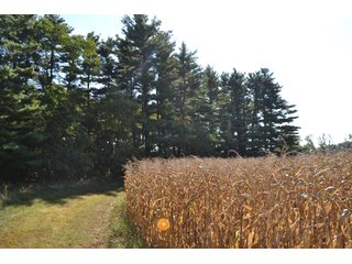 <b>This property has a lot to offer with productive cropland, woods with many mature oak trees and some pines along with cleared trails. </b>  There is lots of deer activity and the property is located across the road from Willow Slough. Also consider the potential for a beautiful, secluded home site.

<b>-2018 Real Estate Taxes Payable 2019:  $2,050.00 
-Drainage Assessments: Salisbury Open $213.24 - Beaver Creek $98.00 
-Zoning: Ag - Agriculture 
-School District: North Newton School Corporation
-Elec. Source: Newton County REMC
-Owners: Joseph E. Warrick, Judy A. Rabideau & Joan M. Raff</b>

<i><b>FSA Data:
Farm #2379: Tract #10547
Farmland: 97.24 acres
Cropland: 83.01 acres
Corn Base Acr.: 80.3  
PLC Yield: 122 </b></i>  - CROPLAND, HUNTING/RECREATIONAL & POTENTIAL BUILDING SITE IN NEWTON COUNTY, INDIANA