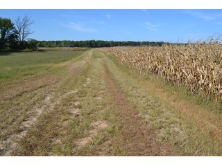 <b>This property has a lot to offer with productive cropland, woods with many mature oak trees and some pines along with cleared trails. </b>  There is lots of deer activity and the property is located across the road from Willow Slough. Also consider the potential for a beautiful, secluded home site.

<b>-2018 Real Estate Taxes Payable 2019:  $2,050.00 
-Drainage Assessments: Salisbury Open $213.24 - Beaver Creek $98.00 
-Zoning: Ag - Agriculture 
-School District: North Newton School Corporation
-Elec. Source: Newton County REMC
-Owners: Joseph E. Warrick, Judy A. Rabideau & Joan M. Raff</b>

<i><b>FSA Data:
Farm #2379: Tract #10547
Farmland: 97.24 acres
Cropland: 83.01 acres
Corn Base Acr.: 80.3  
PLC Yield: 122 </b></i>  - CROPLAND, HUNTING/RECREATIONAL & POTENTIAL BUILDING SITE IN NEWTON COUNTY, INDIANA