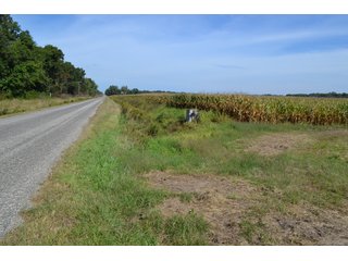 <b>This property has a lot to offer with productive cropland, woods with many mature oak trees and some pines along with cleared trails. </b>  There is lots of deer activity and the property is located across the road from Willow Slough. Also consider the potential for a beautiful, secluded home site.

<b>-2018 Real Estate Taxes Payable 2019:  $2,050.00 
-Drainage Assessments: Salisbury Open $213.24 - Beaver Creek $98.00 
-Zoning: Ag - Agriculture 
-School District: North Newton School Corporation
-Elec. Source: Newton County REMC
-Owners: Joseph E. Warrick, Judy A. Rabideau & Joan M. Raff</b>

<i><b>FSA Data:
Farm #2379: Tract #10547
Farmland: 97.24 acres
Cropland: 83.01 acres
Corn Base Acr.: 80.3  
PLC Yield: 122 </b></i>  - CROPLAND, HUNTING/RECREATIONAL & POTENTIAL BUILDING SITE IN NEWTON COUNTY, INDIANA