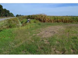<b>This property has a lot to offer with productive cropland, woods with many mature oak trees and some pines along with cleared trails. </b>  There is lots of deer activity and the property is located across the road from Willow Slough. Also consider the potential for a beautiful, secluded home site.

<b>-2018 Real Estate Taxes Payable 2019:  $2,050.00 
-Drainage Assessments: Salisbury Open $213.24 - Beaver Creek $98.00 
-Zoning: Ag - Agriculture 
-School District: North Newton School Corporation
-Elec. Source: Newton County REMC
-Owners: Joseph E. Warrick, Judy A. Rabideau & Joan M. Raff</b>

<i><b>FSA Data:
Farm #2379: Tract #10547
Farmland: 97.24 acres
Cropland: 83.01 acres
Corn Base Acr.: 80.3  
PLC Yield: 122 </b></i>  - CROPLAND, HUNTING/RECREATIONAL & POTENTIAL BUILDING SITE IN NEWTON COUNTY, INDIANA
