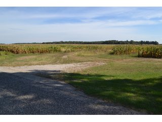<b>This property has a lot to offer with productive cropland, woods with many mature oak trees and some pines along with cleared trails. </b>  There is lots of deer activity and the property is located across the road from Willow Slough. Also consider the potential for a beautiful, secluded home site.

<b>-2018 Real Estate Taxes Payable 2019:  $2,050.00 
-Drainage Assessments: Salisbury Open $213.24 - Beaver Creek $98.00 
-Zoning: Ag - Agriculture 
-School District: North Newton School Corporation
-Elec. Source: Newton County REMC
-Owners: Joseph E. Warrick, Judy A. Rabideau & Joan M. Raff</b>

<i><b>FSA Data:
Farm #2379: Tract #10547
Farmland: 97.24 acres
Cropland: 83.01 acres
Corn Base Acr.: 80.3  
PLC Yield: 122 </b></i>  - CROPLAND, HUNTING/RECREATIONAL & POTENTIAL BUILDING SITE IN NEWTON COUNTY, INDIANA