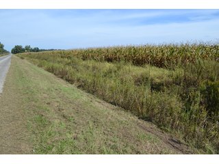 <b>This property has a lot to offer with productive cropland, woods with many mature oak trees and some pines along with cleared trails. </b>  There is lots of deer activity and the property is located across the road from Willow Slough. Also consider the potential for a beautiful, secluded home site.

<b>-2018 Real Estate Taxes Payable 2019:  $2,050.00 
-Drainage Assessments: Salisbury Open $213.24 - Beaver Creek $98.00 
-Zoning: Ag - Agriculture 
-School District: North Newton School Corporation
-Elec. Source: Newton County REMC
-Owners: Joseph E. Warrick, Judy A. Rabideau & Joan M. Raff</b>

<i><b>FSA Data:
Farm #2379: Tract #10547
Farmland: 97.24 acres
Cropland: 83.01 acres
Corn Base Acr.: 80.3  
PLC Yield: 122 </b></i>  - CROPLAND, HUNTING/RECREATIONAL & POTENTIAL BUILDING SITE IN NEWTON COUNTY, INDIANA