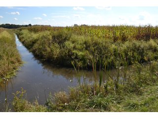 <b>This property has a lot to offer with productive cropland, woods with many mature oak trees and some pines along with cleared trails. </b>  There is lots of deer activity and the property is located across the road from Willow Slough. Also consider the potential for a beautiful, secluded home site.

<b>-2018 Real Estate Taxes Payable 2019:  $2,050.00 
-Drainage Assessments: Salisbury Open $213.24 - Beaver Creek $98.00 
-Zoning: Ag - Agriculture 
-School District: North Newton School Corporation
-Elec. Source: Newton County REMC
-Owners: Joseph E. Warrick, Judy A. Rabideau & Joan M. Raff</b>

<i><b>FSA Data:
Farm #2379: Tract #10547
Farmland: 97.24 acres
Cropland: 83.01 acres
Corn Base Acr.: 80.3  
PLC Yield: 122 </b></i>  - CROPLAND, HUNTING/RECREATIONAL & POTENTIAL BUILDING SITE IN NEWTON COUNTY, INDIANA