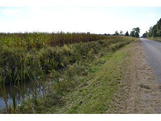 <b>This property has a lot to offer with productive cropland, woods with many mature oak trees and some pines along with cleared trails. </b>  There is lots of deer activity and the property is located across the road from Willow Slough. Also consider the potential for a beautiful, secluded home site.

<b>-2018 Real Estate Taxes Payable 2019:  $2,050.00 
-Drainage Assessments: Salisbury Open $213.24 - Beaver Creek $98.00 
-Zoning: Ag - Agriculture 
-School District: North Newton School Corporation
-Elec. Source: Newton County REMC
-Owners: Joseph E. Warrick, Judy A. Rabideau & Joan M. Raff</b>

<i><b>FSA Data:
Farm #2379: Tract #10547
Farmland: 97.24 acres
Cropland: 83.01 acres
Corn Base Acr.: 80.3  
PLC Yield: 122 </b></i>  - CROPLAND, HUNTING/RECREATIONAL & POTENTIAL BUILDING SITE IN NEWTON COUNTY, INDIANA