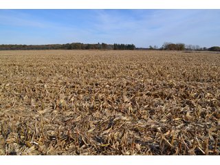 Property photo 1 - CROPLAND, HUNTING/RECREATIONAL & POTENTIAL BUILDING SITE IN NEWTON COUNTY, INDIANA